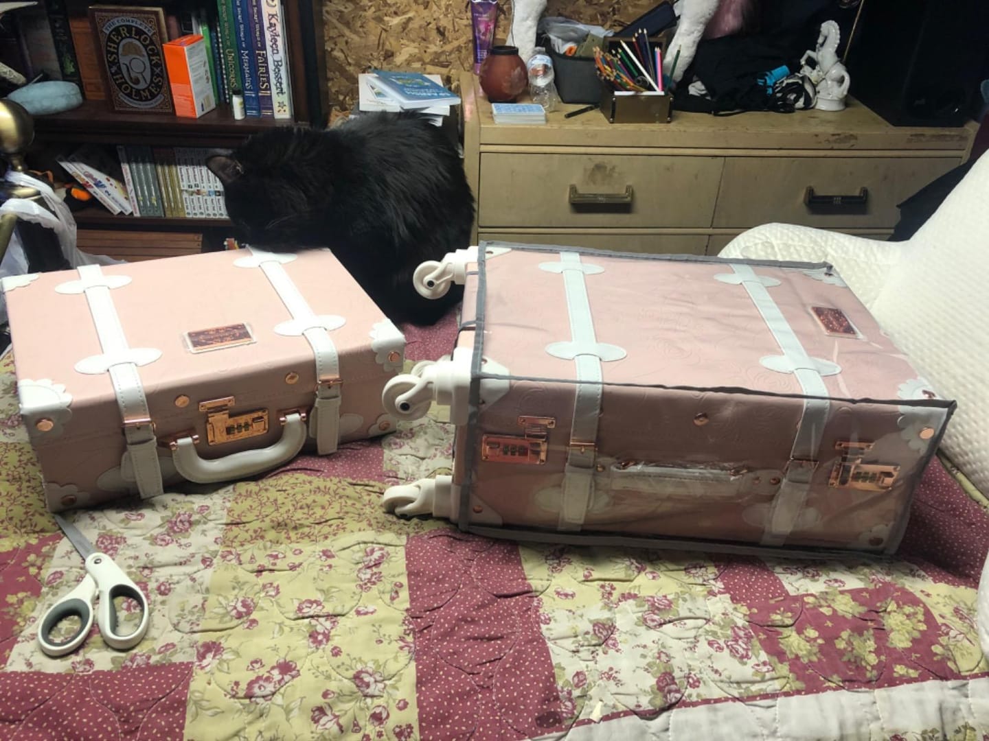 Customer photo review of SarahFace 2 Pieces Luggage Set - Embossed Pink's