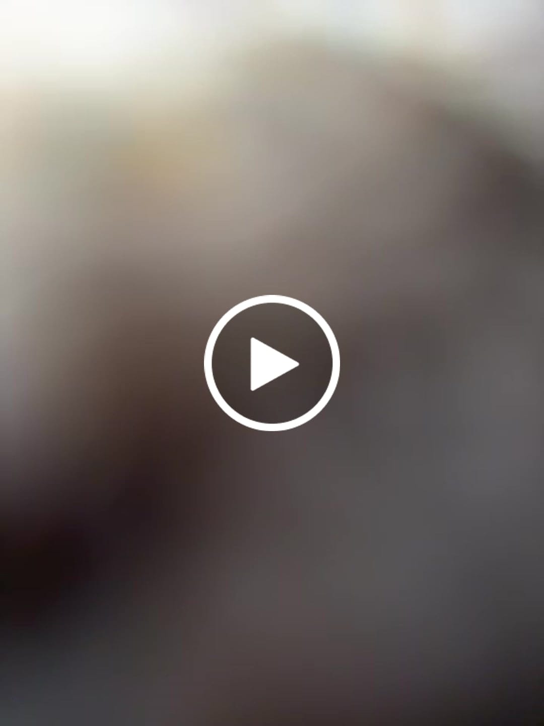 Customer video review of TechBee Smoker