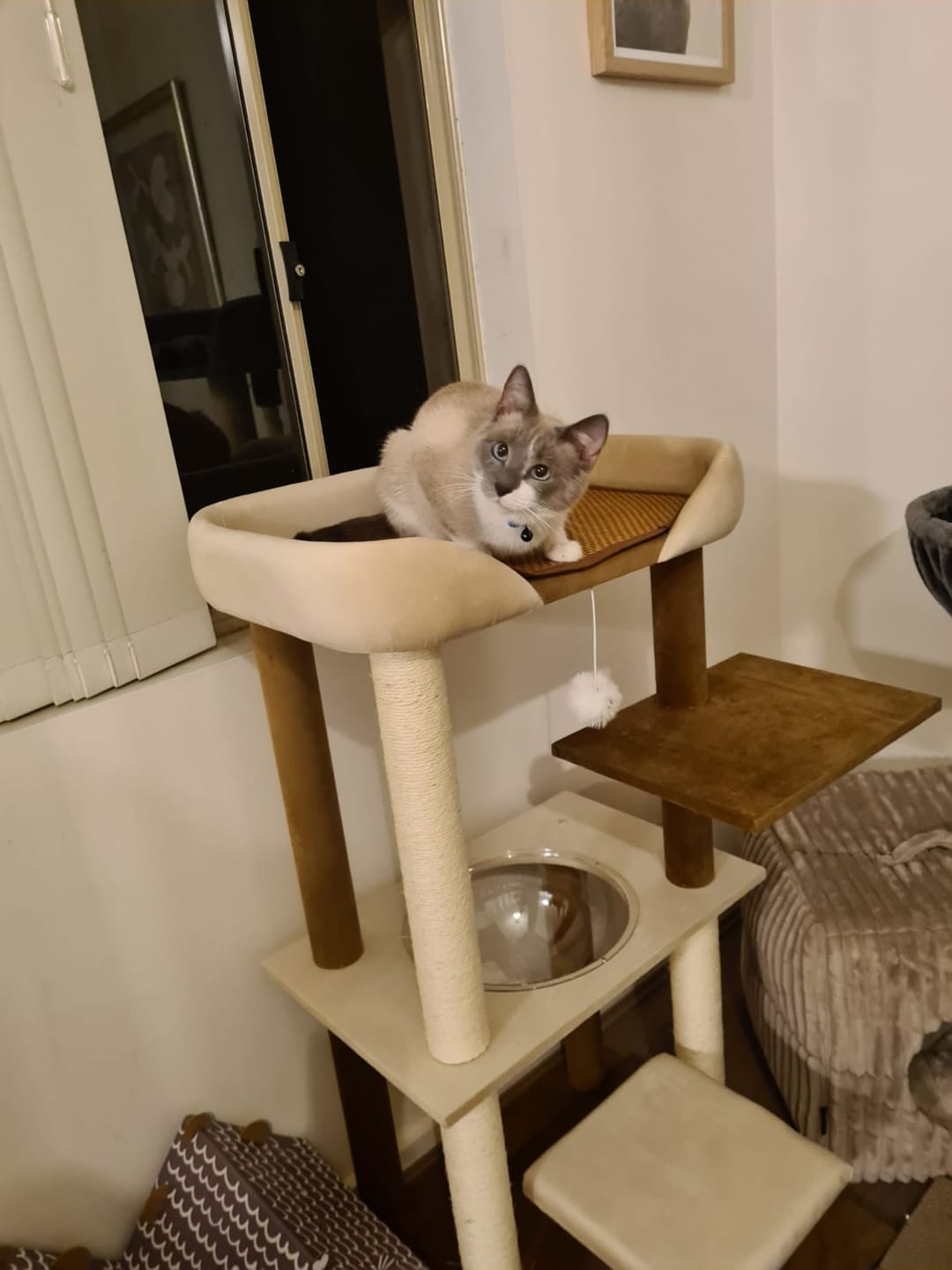Customer photo review of Luxury Japanese-Style Cat Tree with Large Bed – 90906