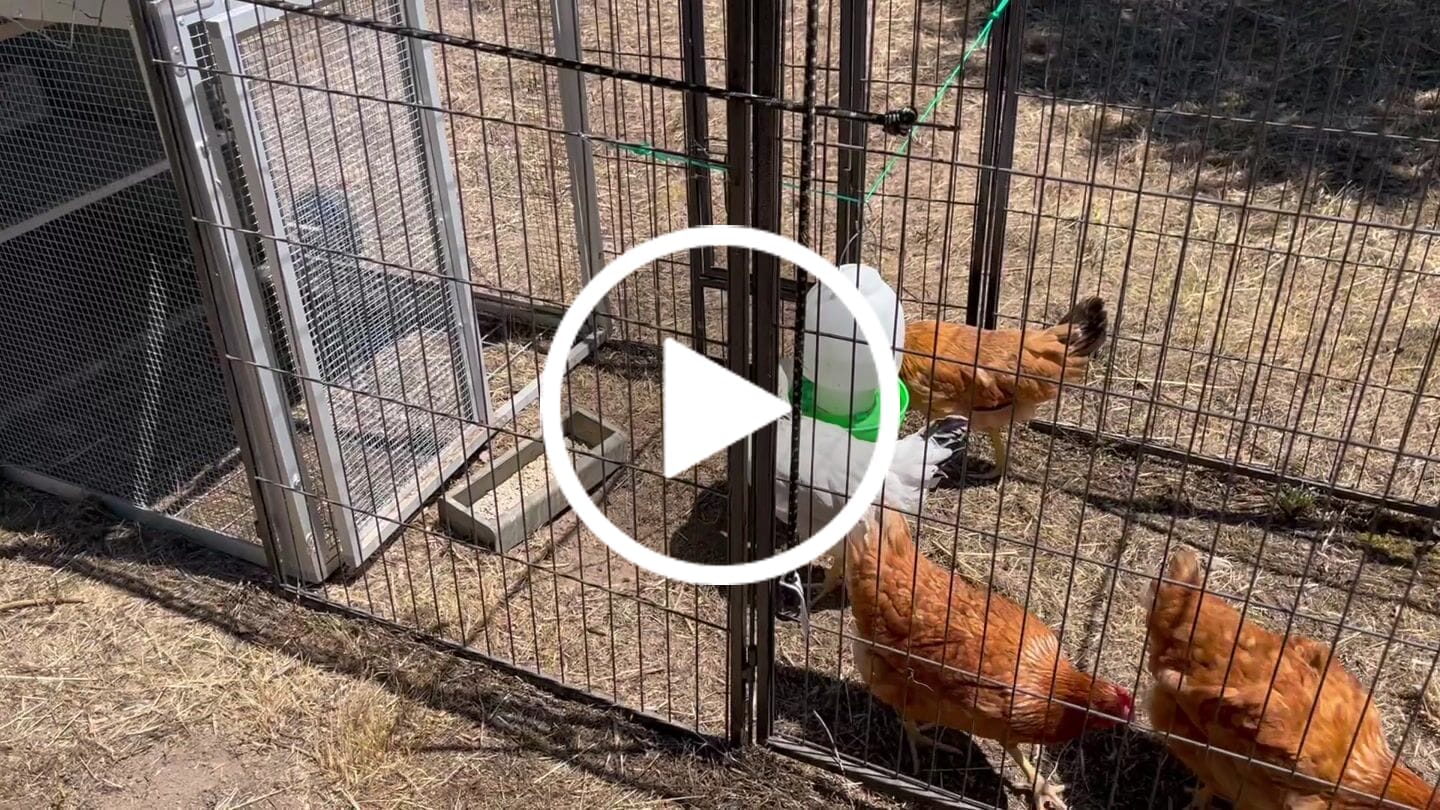 Customer video review of Canvas Cover for Chicken Coop / Chicken Tractor