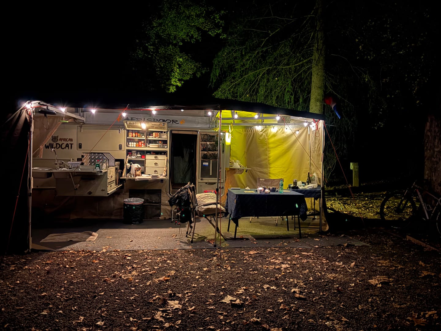 Customer photo review of Solar Mini Bulb String Lights