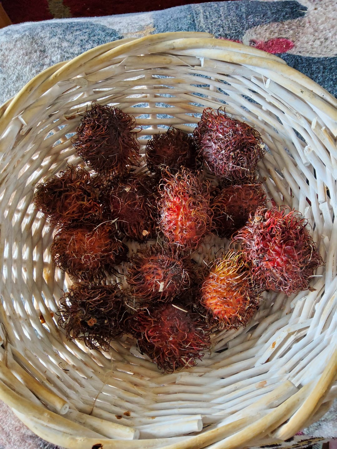 Customer photo review of Rambutan Aktionspreis %