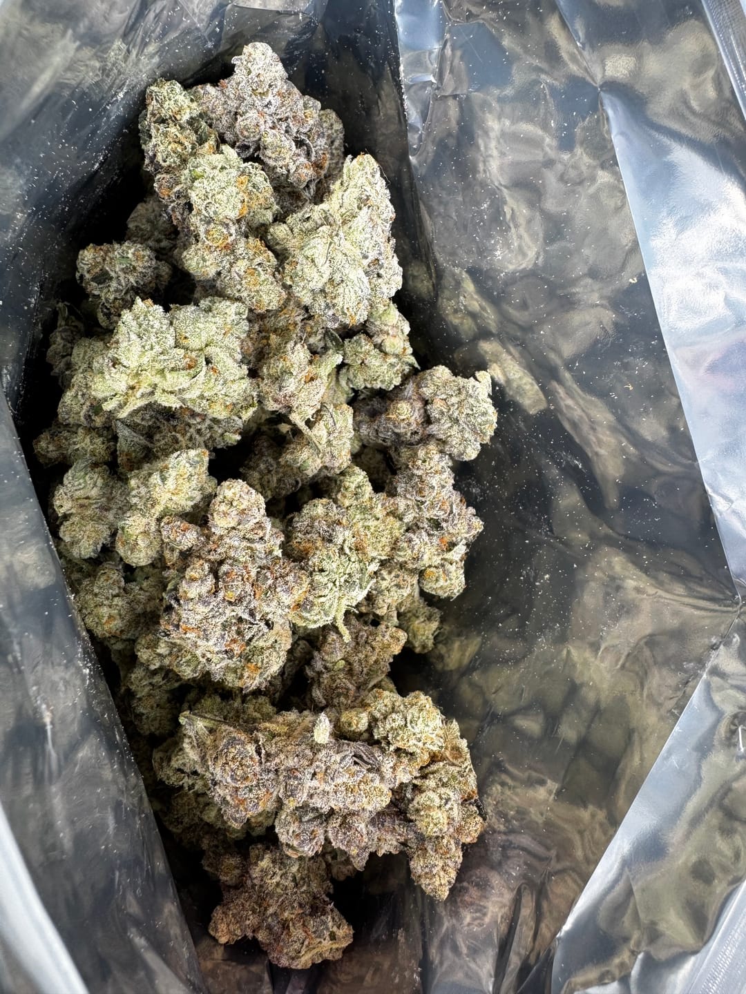 Customer photo review of Animal Tsunami (Bulk)