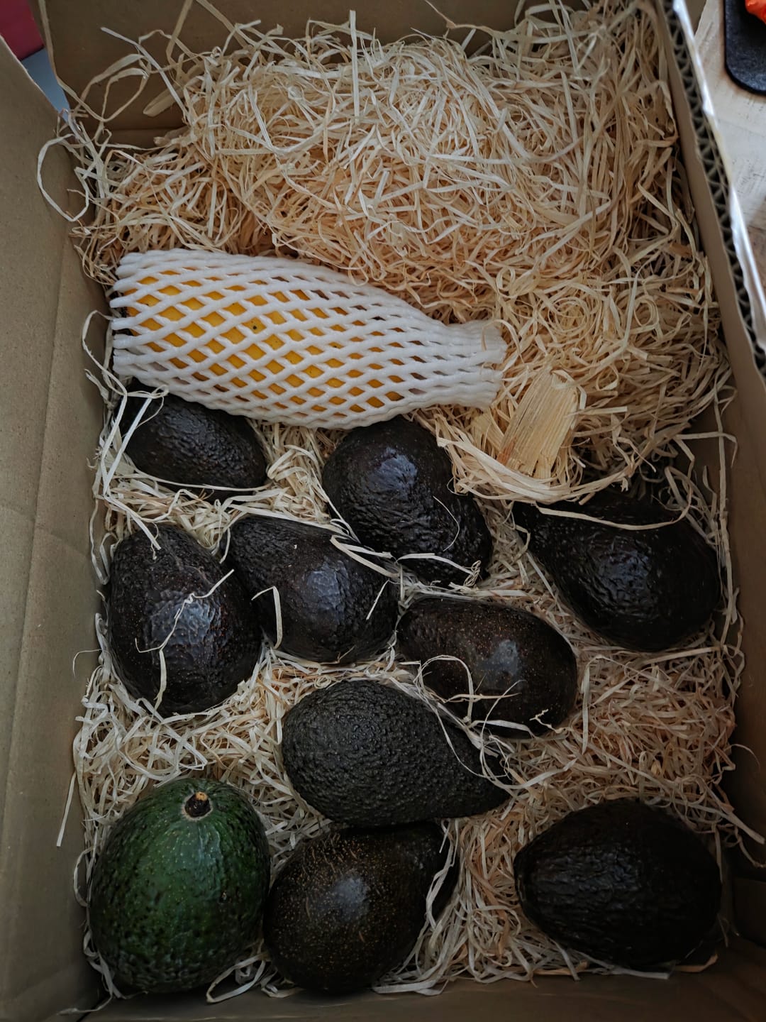 Customer photo review of Avocado-Mix 13 Monate baumgereift Sonderaktion % 2kg Box