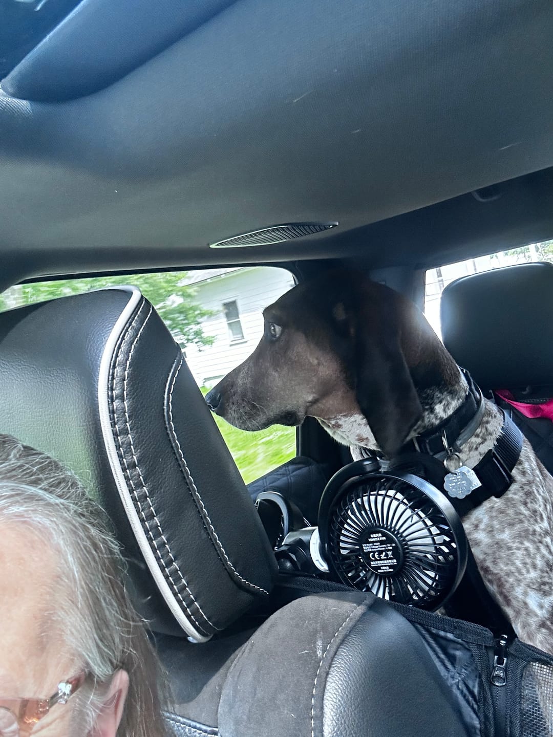 Customer photo review of Adjustable Backseat Dual Cooling Fans (Compatible with USB-A plug Only)