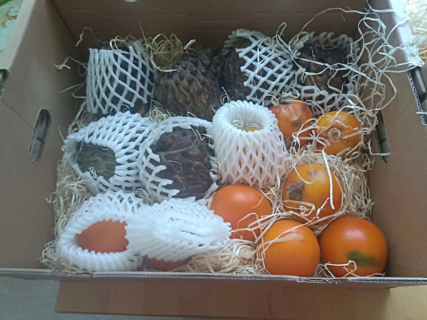 Customer photo review of Atemoya