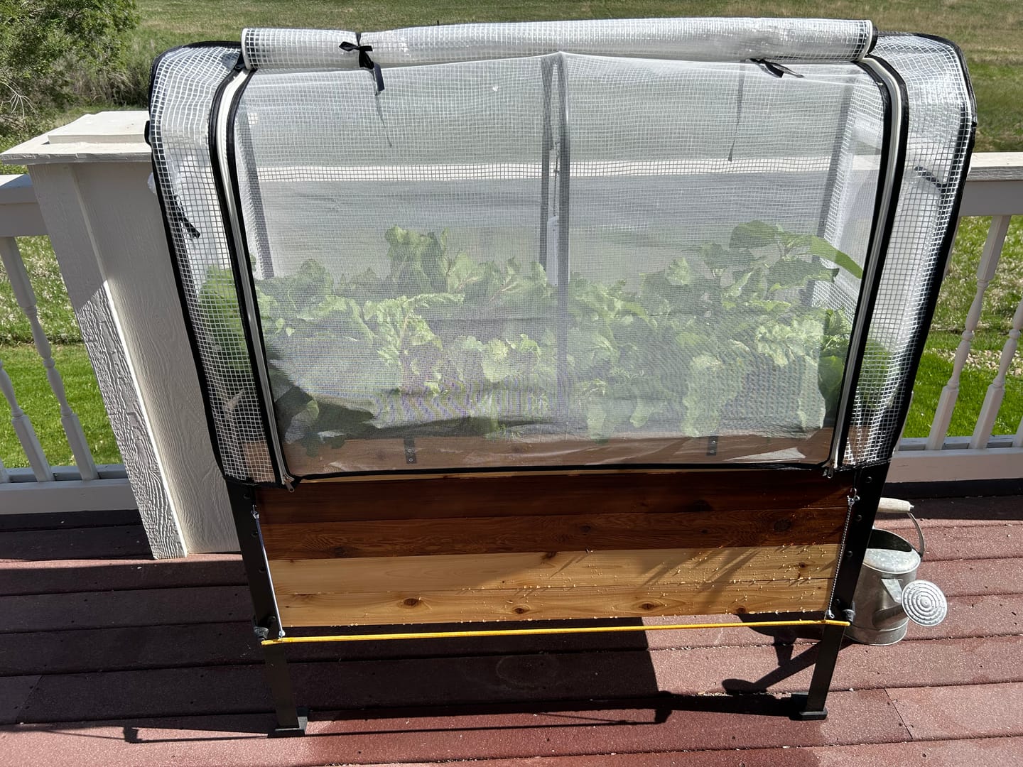 Customer photo review of Greenhouse Cover