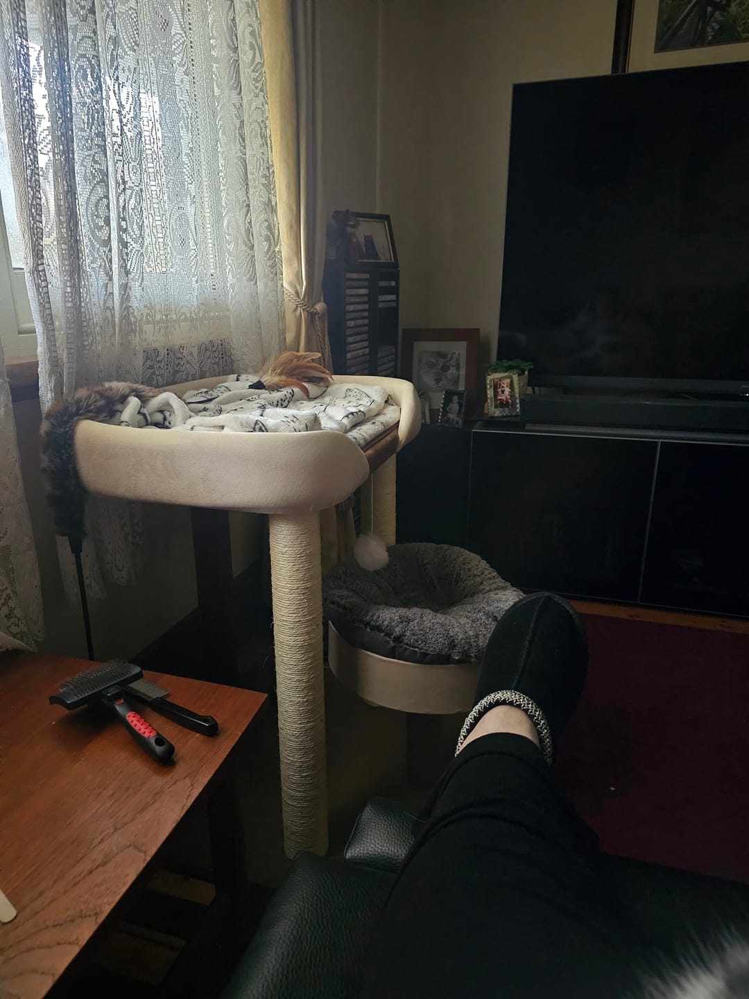 Customer photo review of Japanese-Style Double-Level Cat Tree Cat Sofa - 90901B, Perfect for Window-Side Lounging
