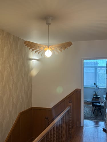 Avis photo d'un client sur Aigle teinté Chêne | Suspension