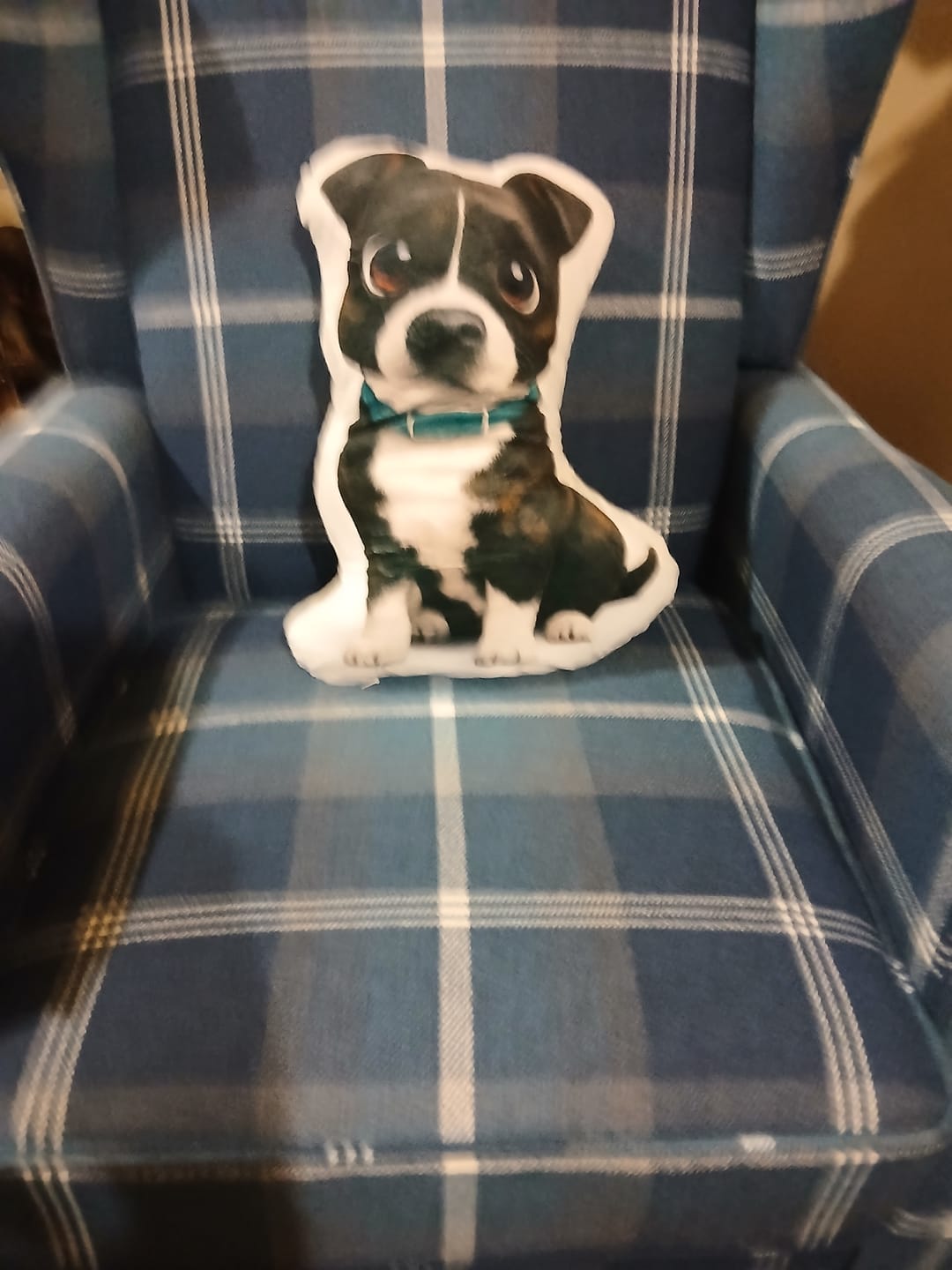 Customer photo review of Cartoon - Personalised Shape Pillow