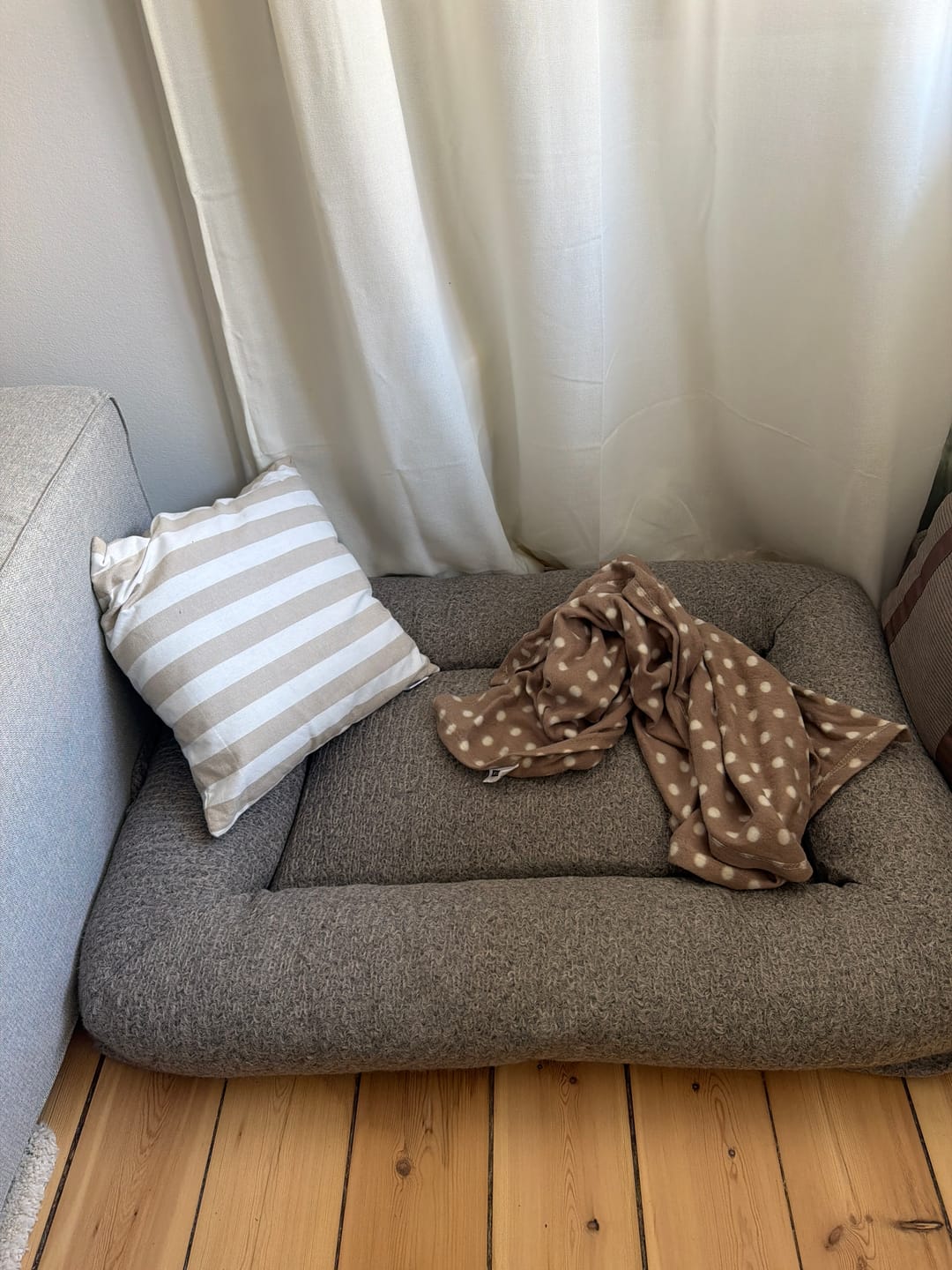 Customer photo review of Staey - Curl Hundeseng, Taupe
