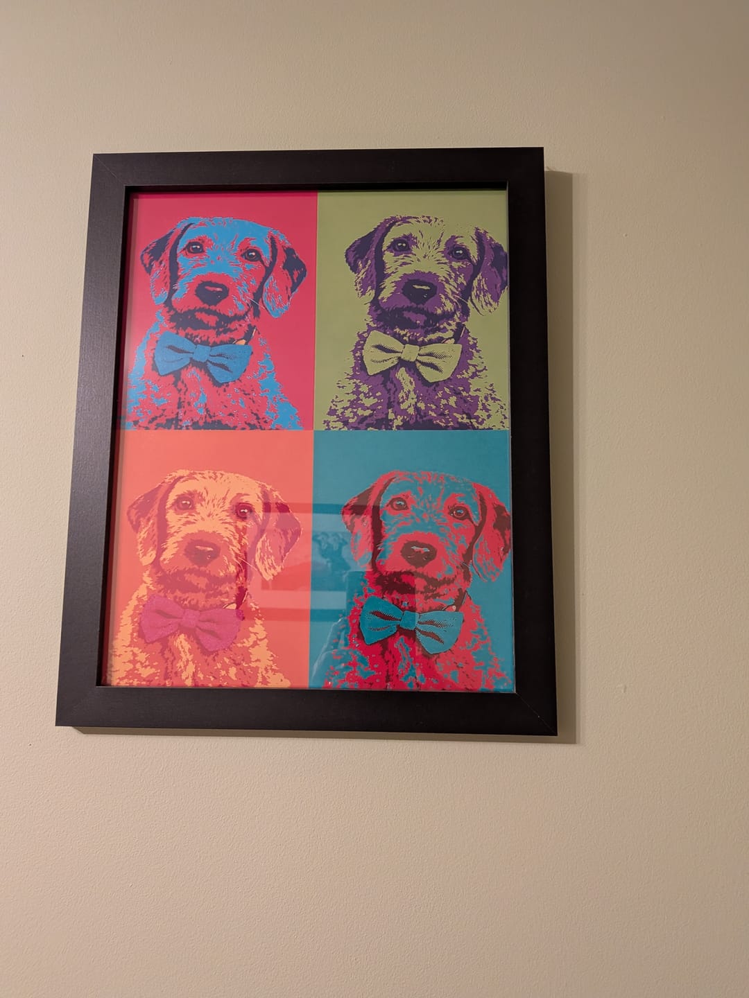 Customer photo review of Personalised Poster With Dog or Cat - Colour Squares
