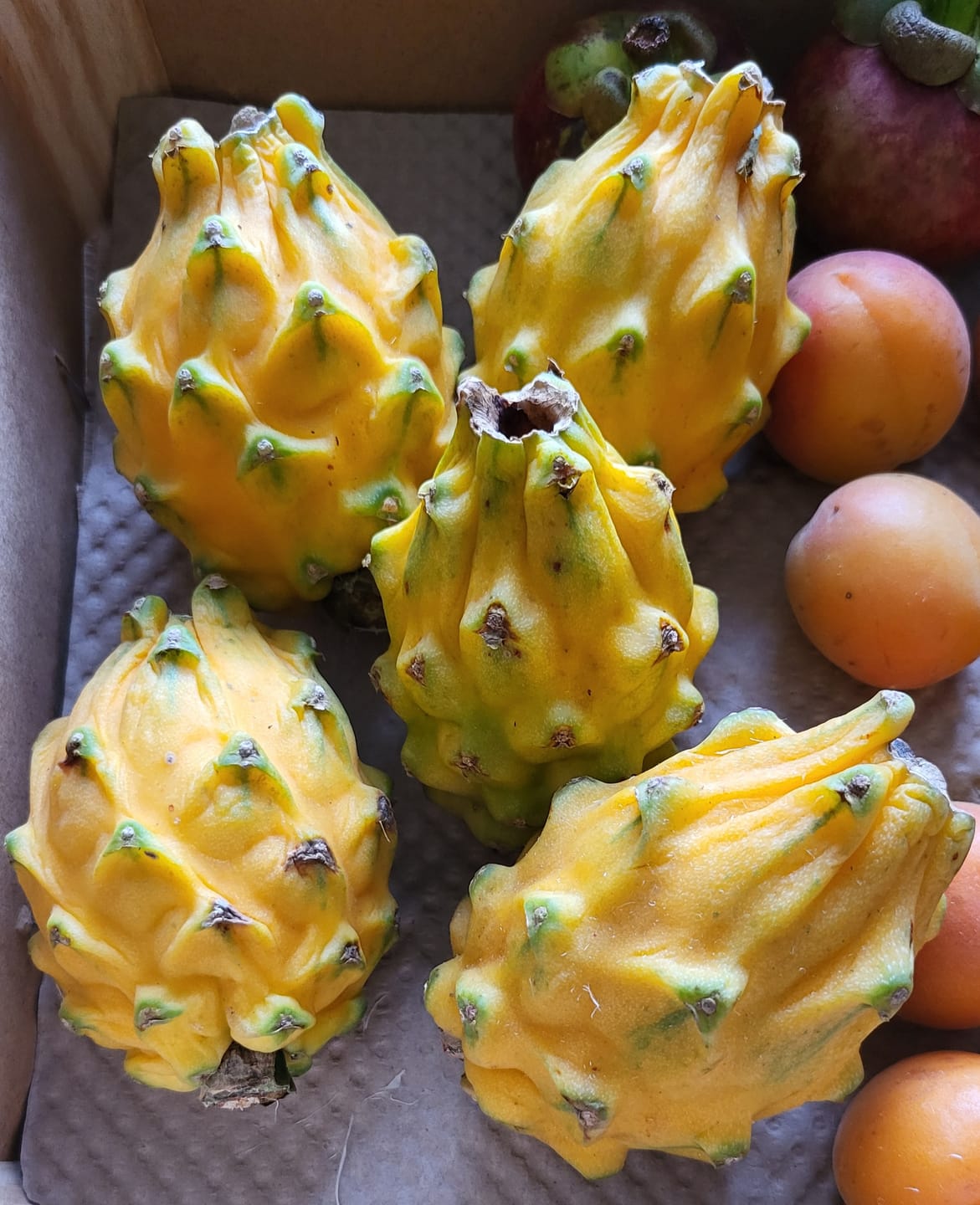 Customer photo review of Goldene Drachenfrucht (Pitaya) Sonderaktion %