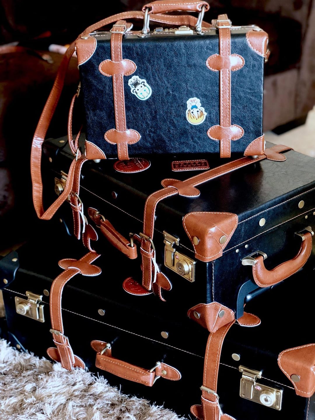 Customer photo review of Minimalism Carry-on Set - Train Case