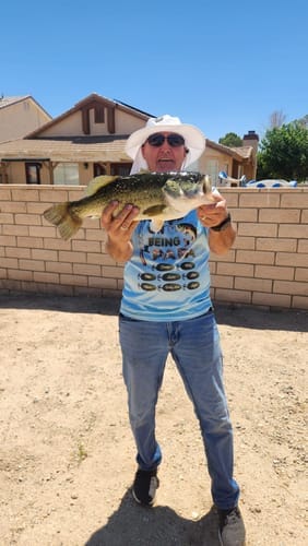 Customer photo review of Keep Calm and Go Fishing T-Shirt for Fishing Lovers