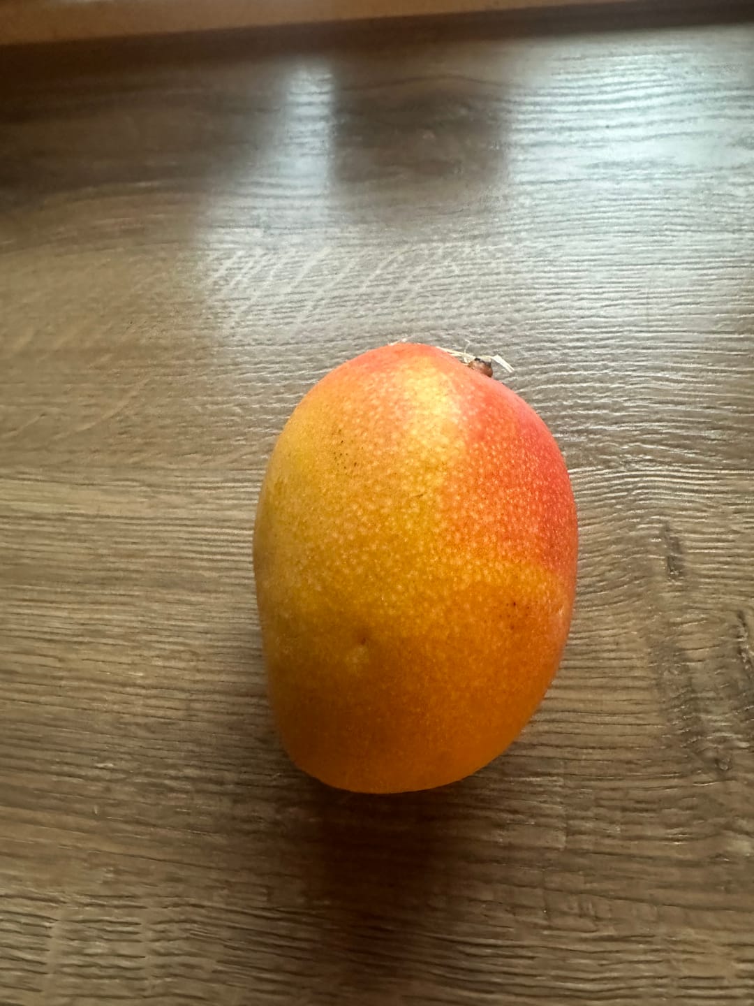 Customer photo review of Mango Haden baumgereift Sonderaktion %
