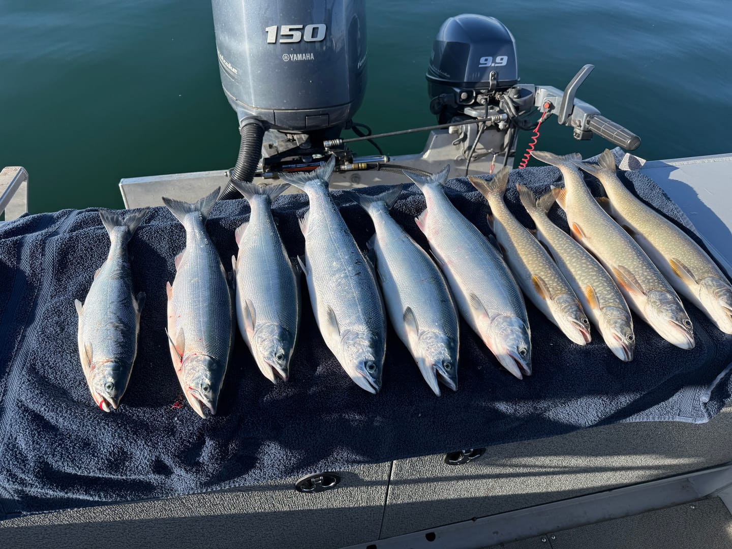 Customer photo review of Hawken Simon Hot Tails - 2 Pack