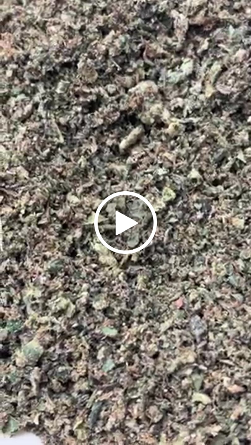 Customer video review of No 1. LA Pop Rock THCa Shake (Wholesale)