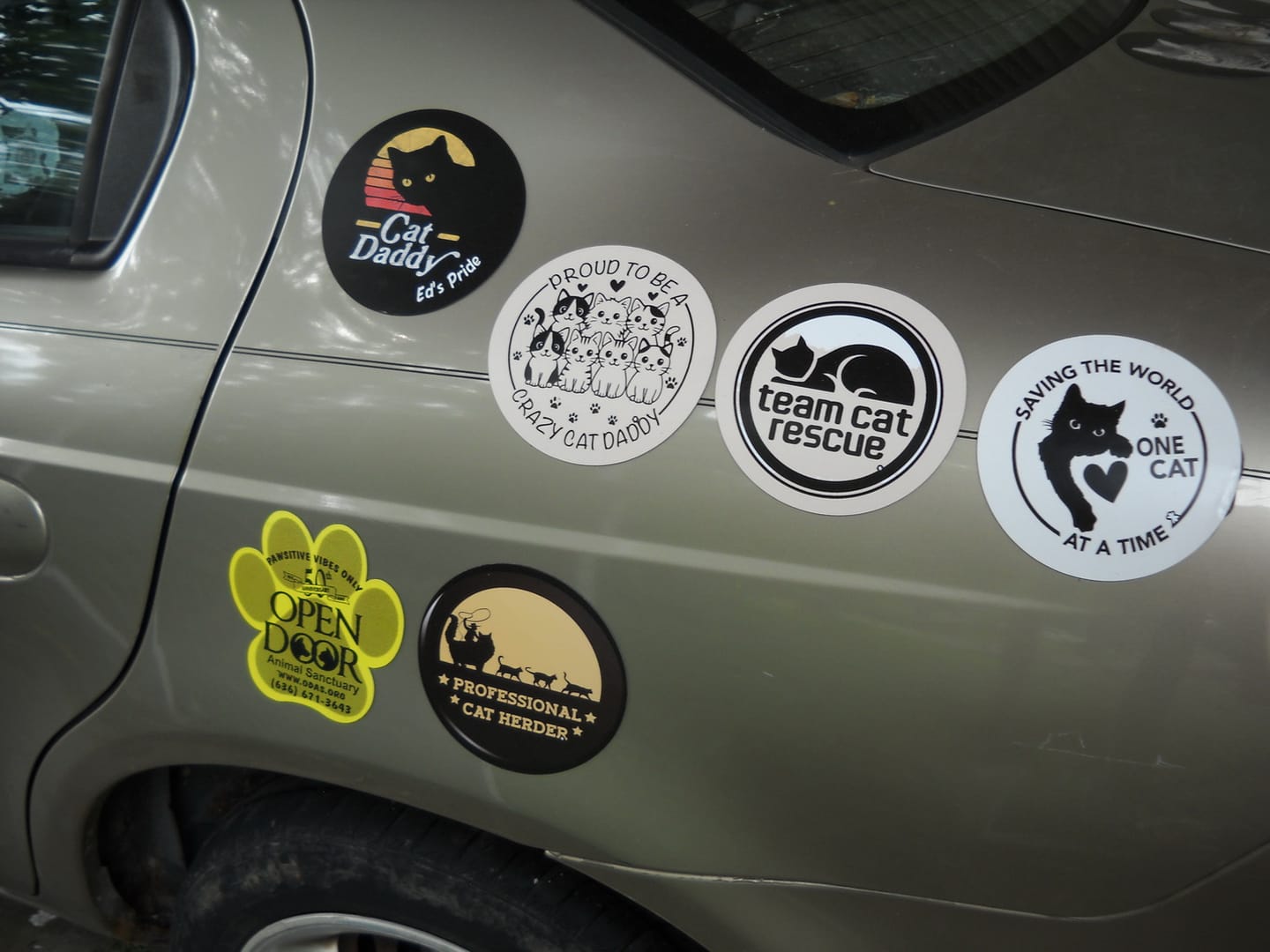 Customer photo review of Your photo - Personalized Car Magnet