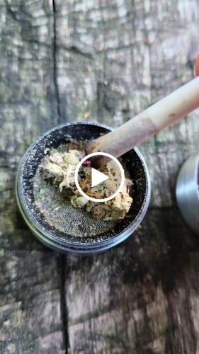 Customer video review of CALI MIX AAA+ – Premium Selection