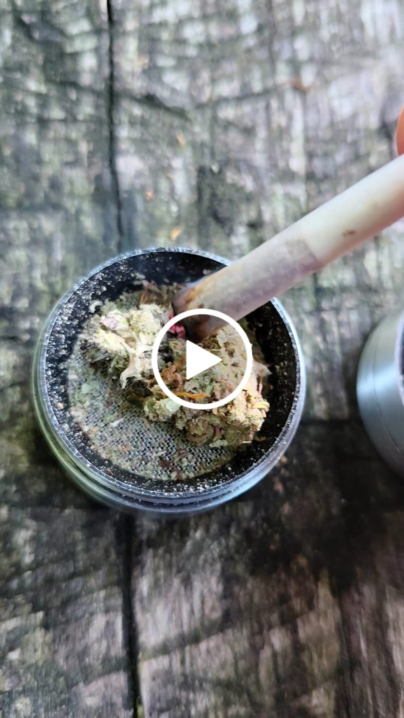 Customer video review of CALI MIX AAA+ – Premium Selection