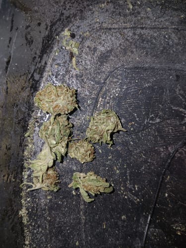 Pineapple Express - Minis - 28 Grams - Sativa photo review