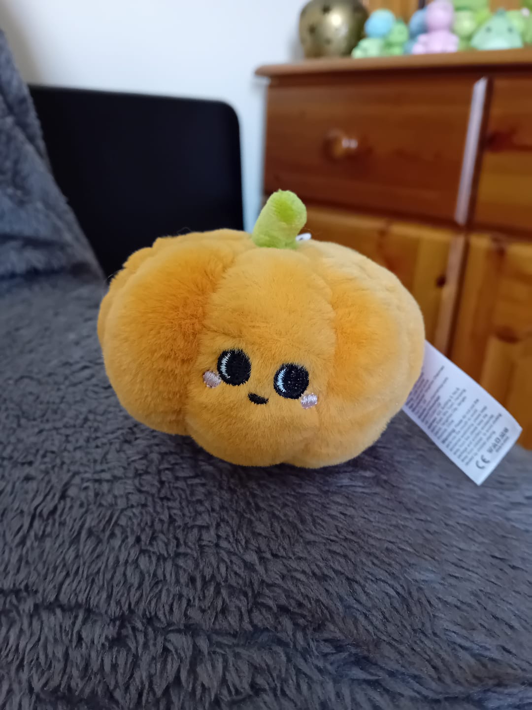 Customer photo review of Cute Fruit and Vegetable Plushies