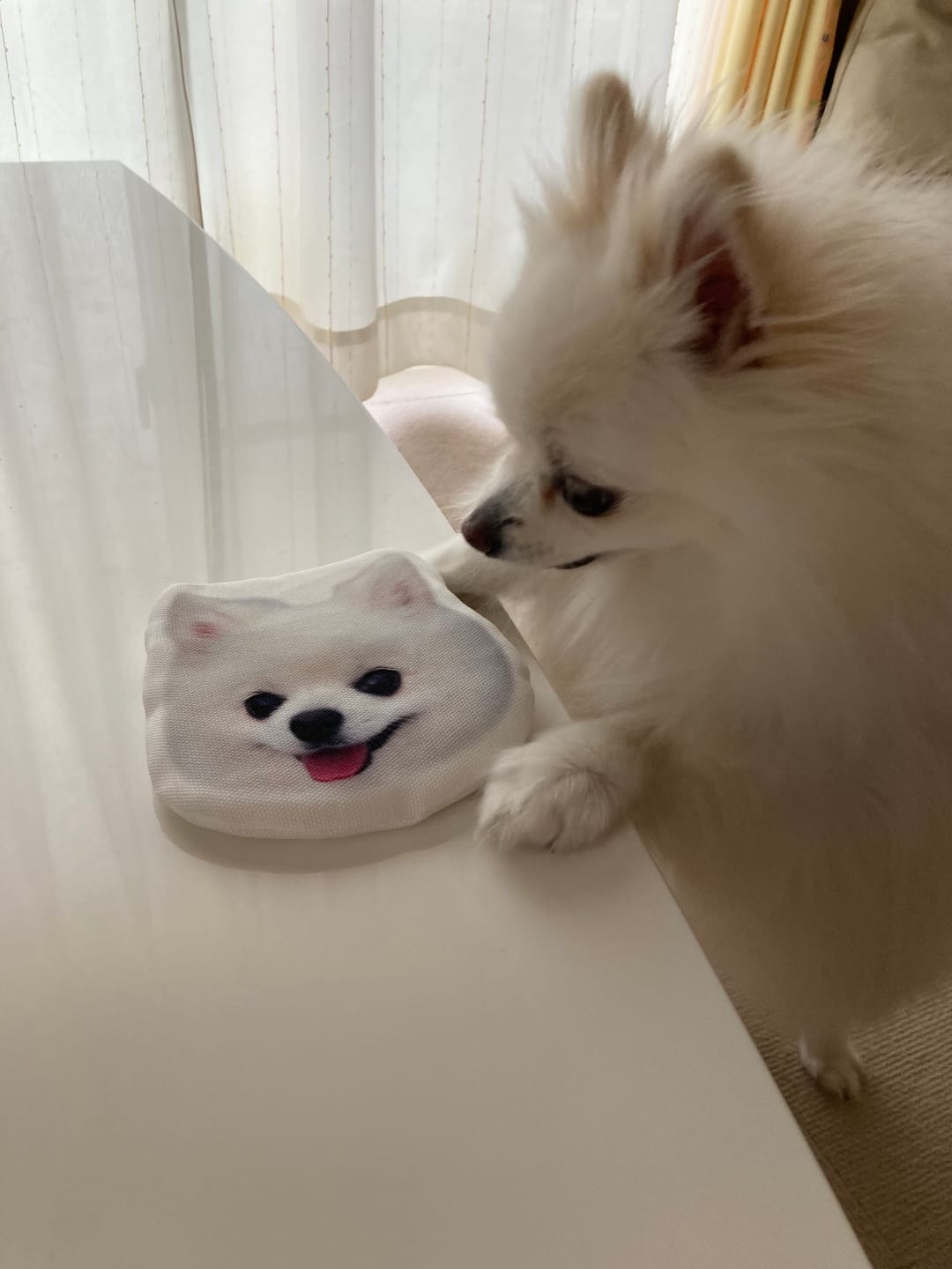 Customer photo review of 本物そっくり♪ペットフェイスバッグ