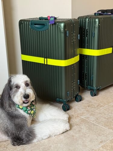 Customer photo review of ALUMINUM SUITCASE V2 NEW, STRONGER ALUMINIUM & REMOVEABLE WHEELS