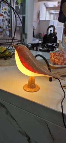 Customer photo review of Glow Bird
