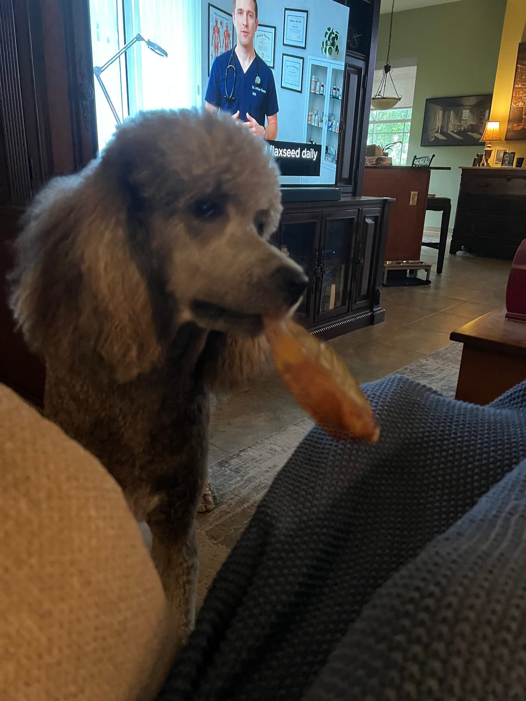 Customer photo review of Pig Ears