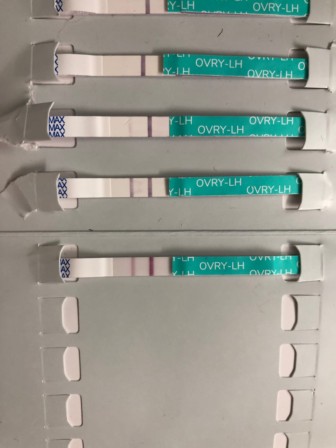Customer photo review of Ovulation Test Strips