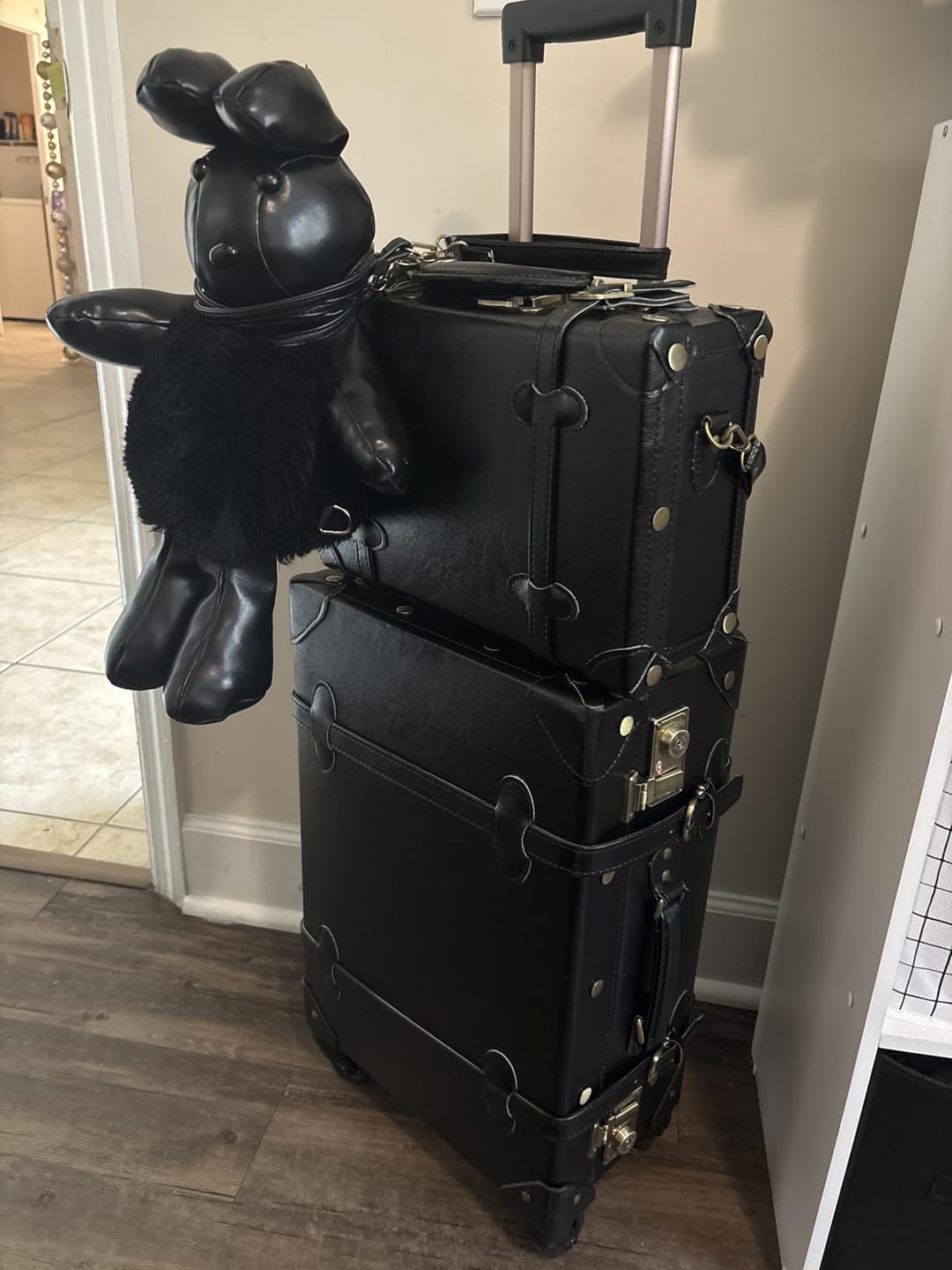 Customer photo review of Minimalism Carry-On Set - Train Case