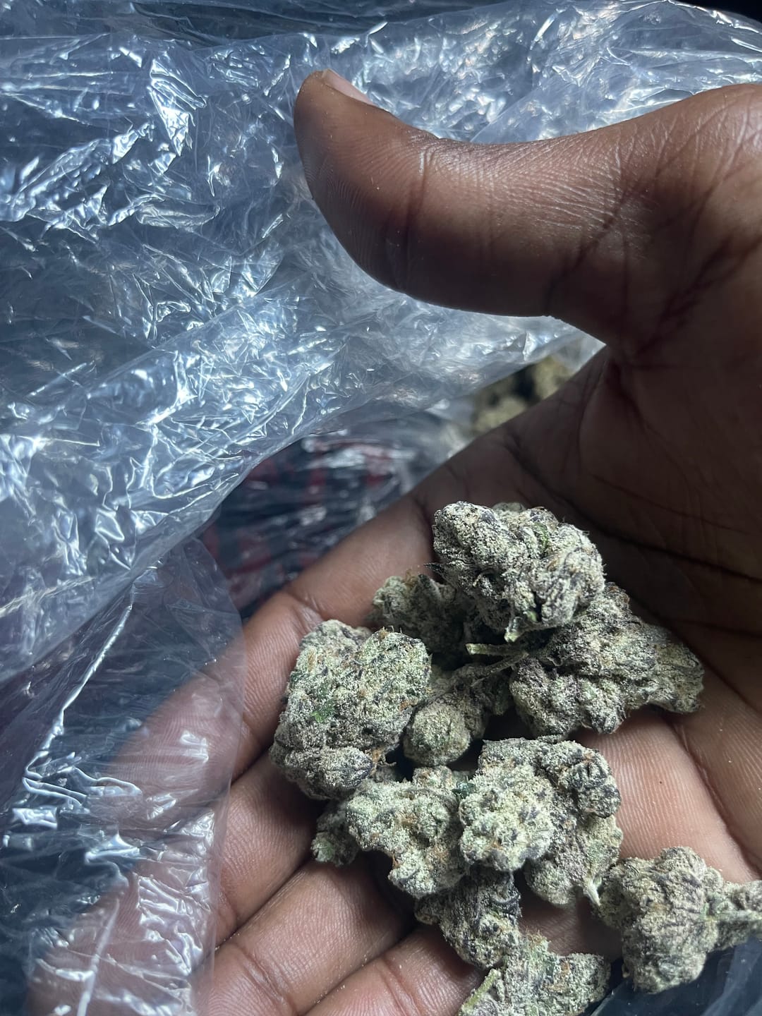 Customer photo review of Boutique Exotics Live Rosin Disposable - 0.5 Gram