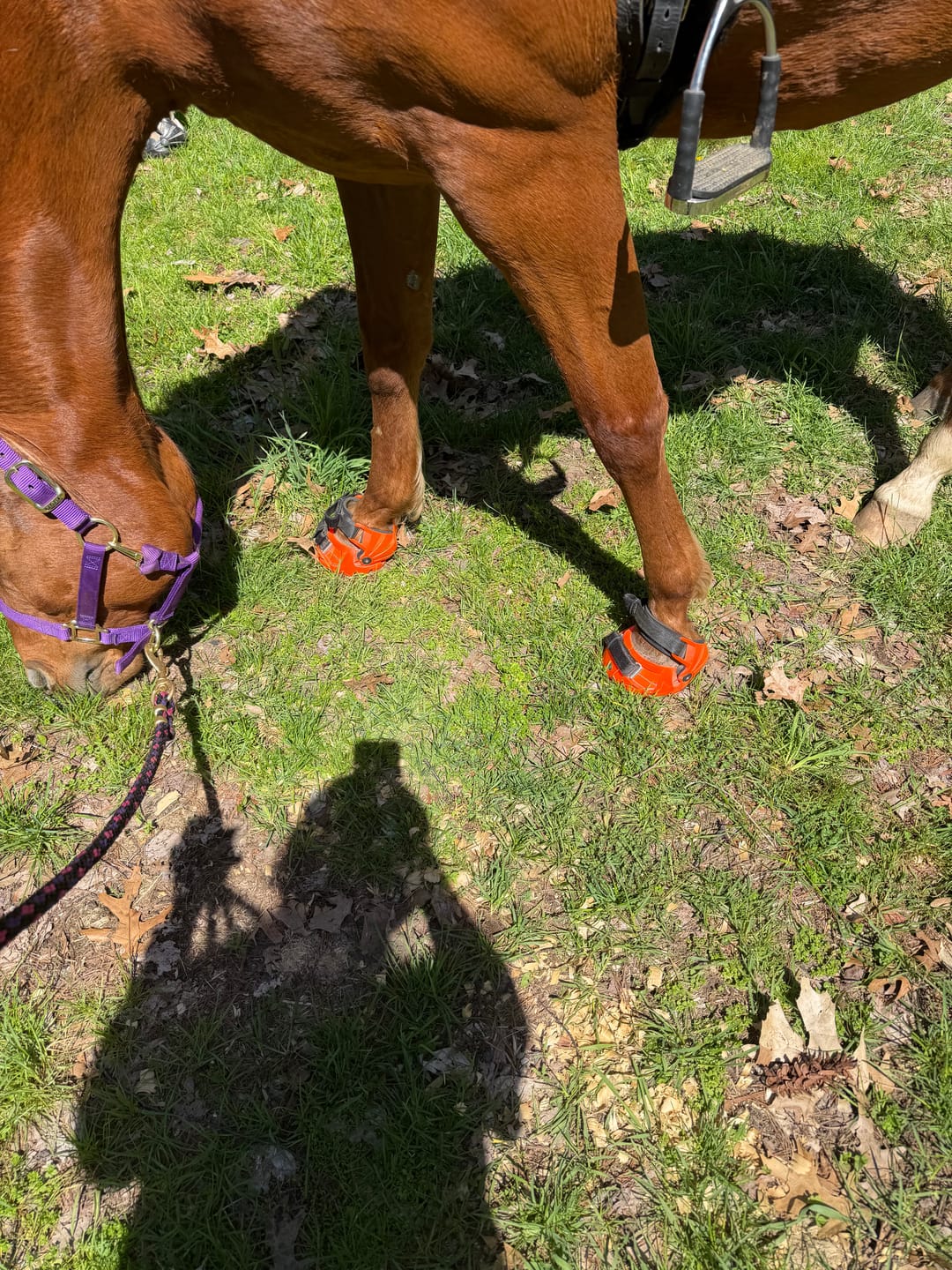 Customer photo review of Renegade® Viper Shield™ Hoof Boot Seconds - Arizona Copper