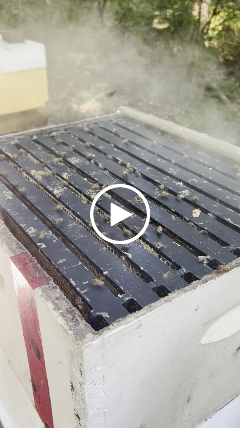 Customer video review of TechBee Smoker