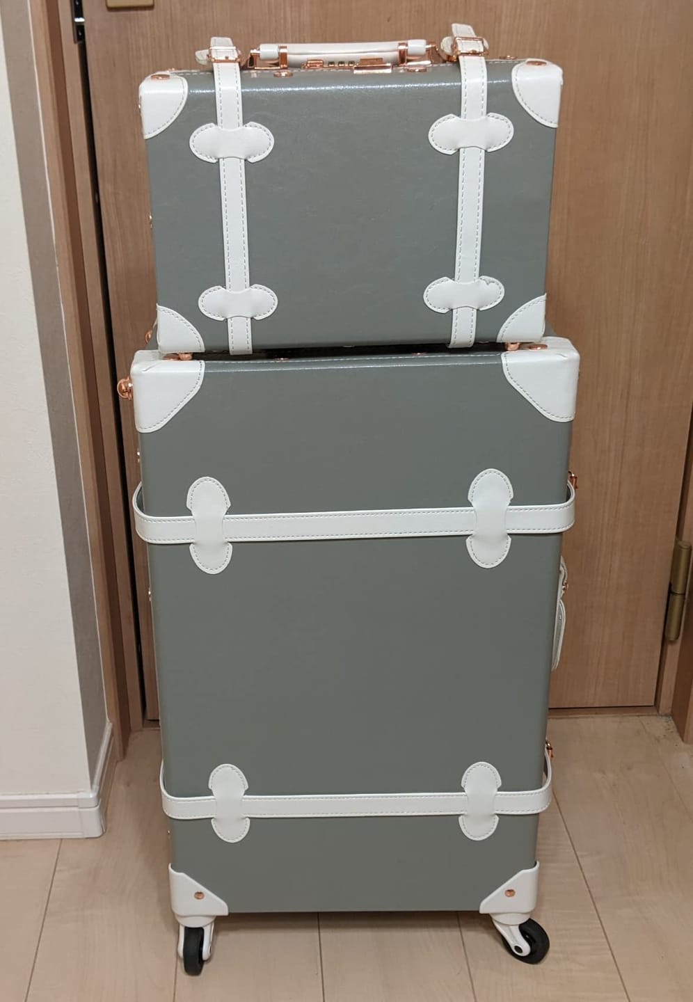 Customer photo review of (Outlet) Minimalism Large Check-in Set - Mini Case