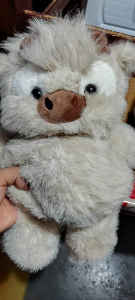 Customer photo review of La peluche vache qui court quand on l’agite | Floomie®