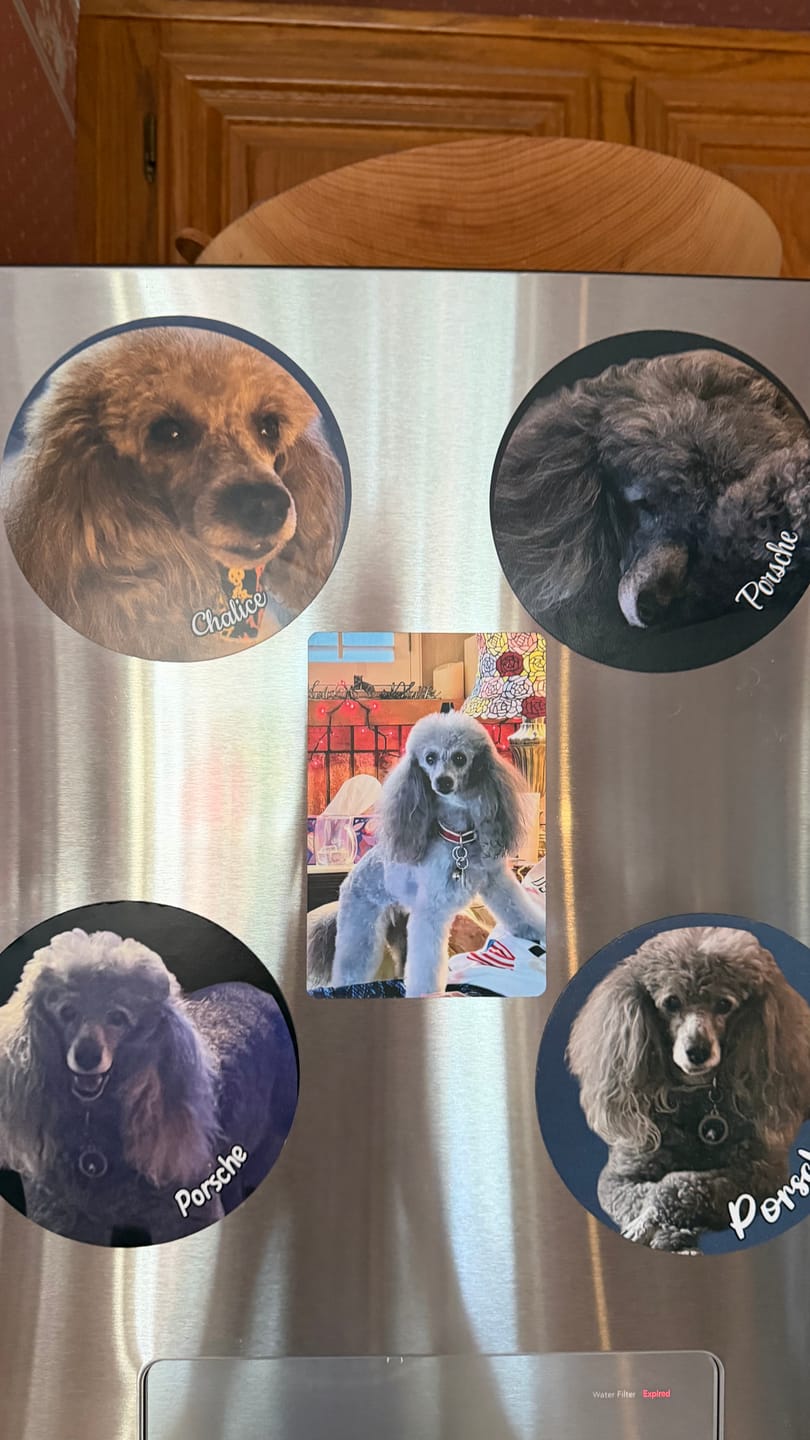 Customer photo review of Your photo - Personalized Car Magnet