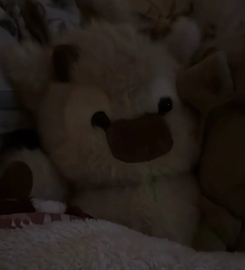Customer photo review of La peluche vache qui court quand on l’agite | Floomie®