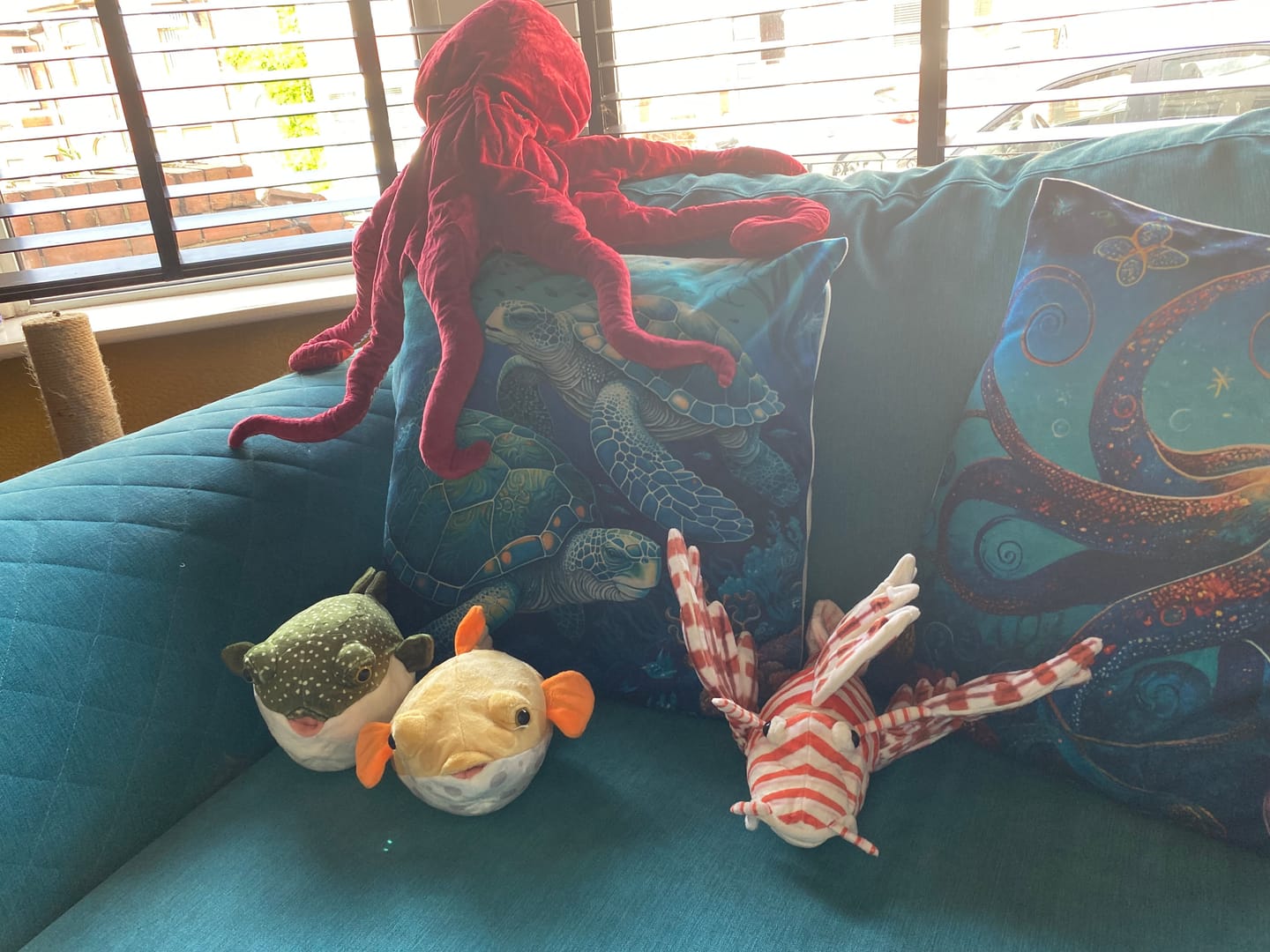 Customer photo review of Red Lionfish Soft Stuffed Plush Toy