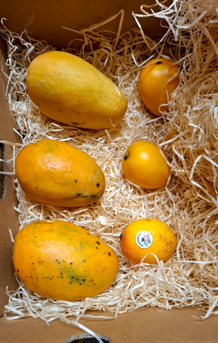 Customer photo review of Mango Mingolo baumgereift Sonderaktion % 2kg Box