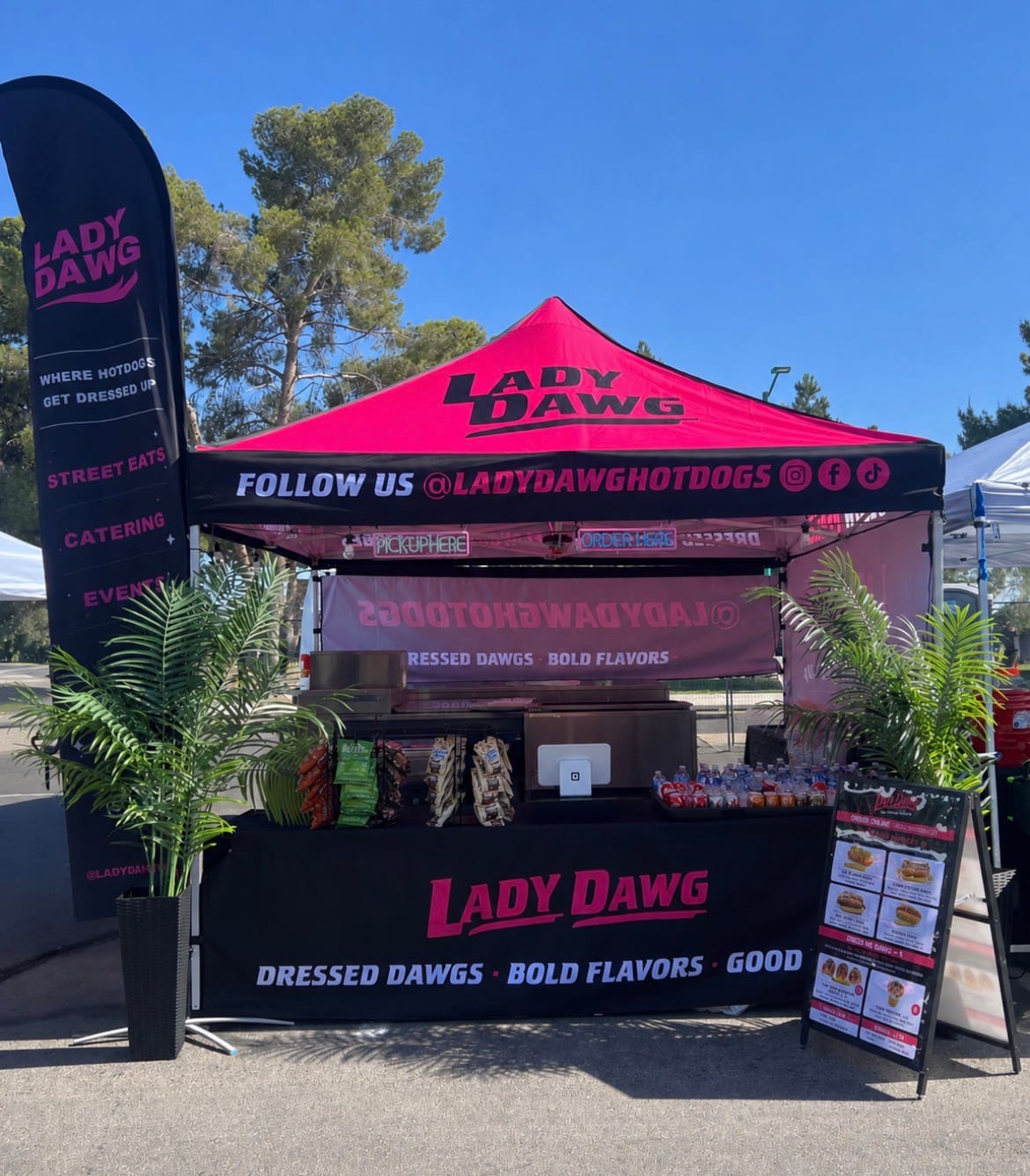 Customer photo review of Custom Canopy Tent 10x10 Heavy Duty with 1 Back Wall & 2 Half Walls