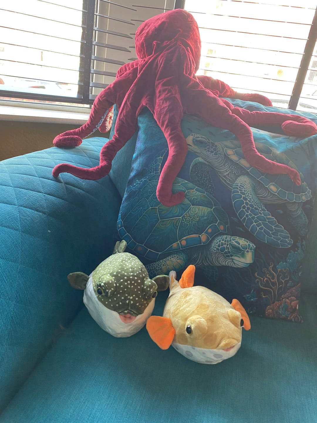 Customer photo review of Pufferfish Boxfish Soft Stuffed Plush Toy