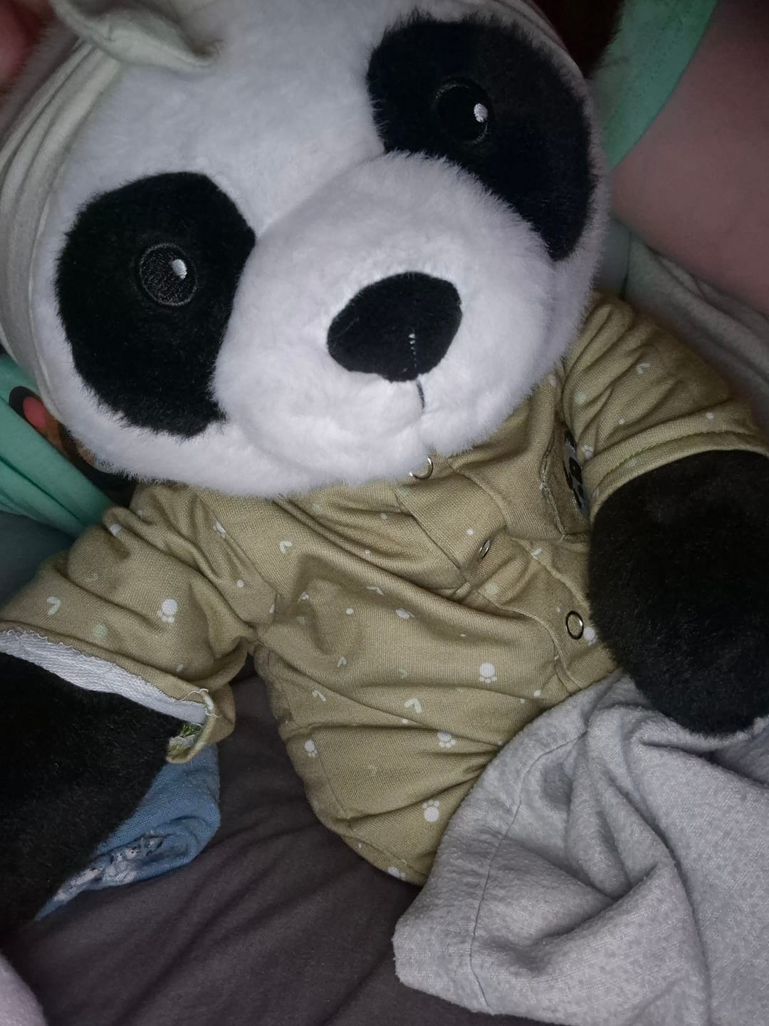 Customer photo review of Lotgenootje Panda 2kg