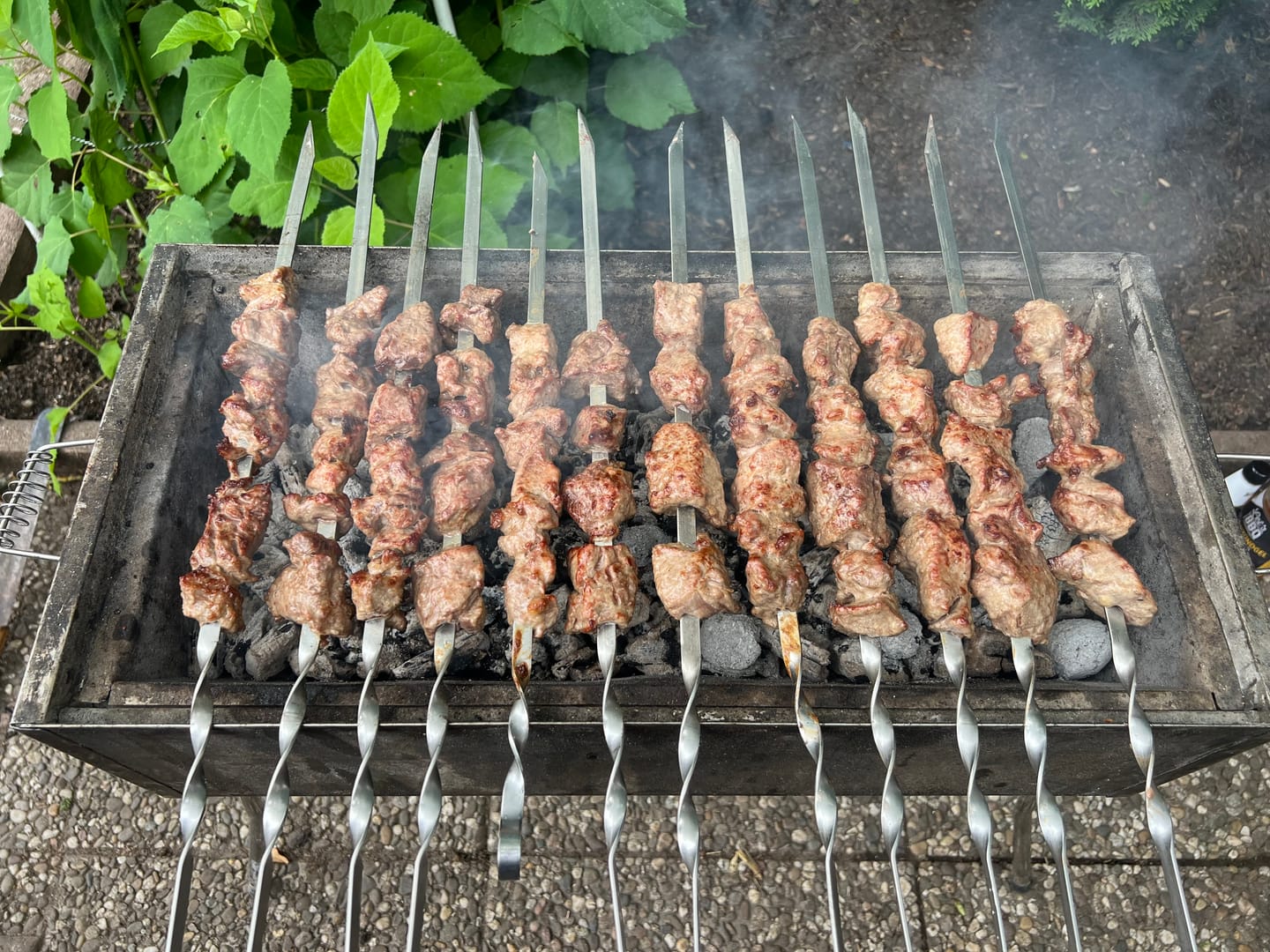 Customer photo review of Lamm-Schaschlik-Original – zart mariniert aus der Lammkeule | mySchaschlik