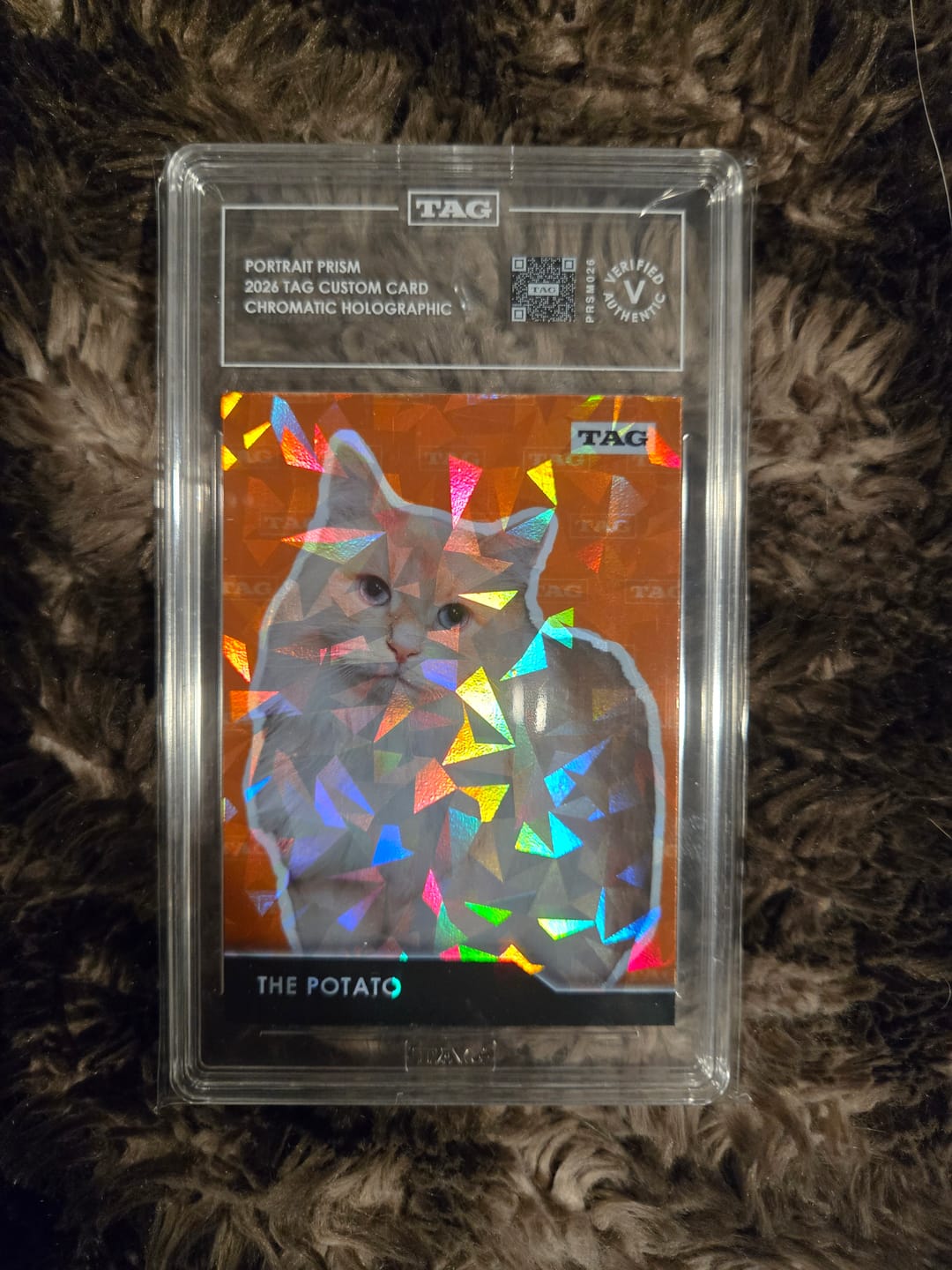 Customer photo review of TAG Custom Card | Pet Portrait Prism