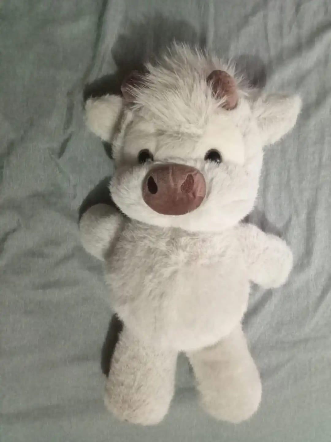 Customer photo review of La peluche vache qui court quand on l’agite | Floomie®