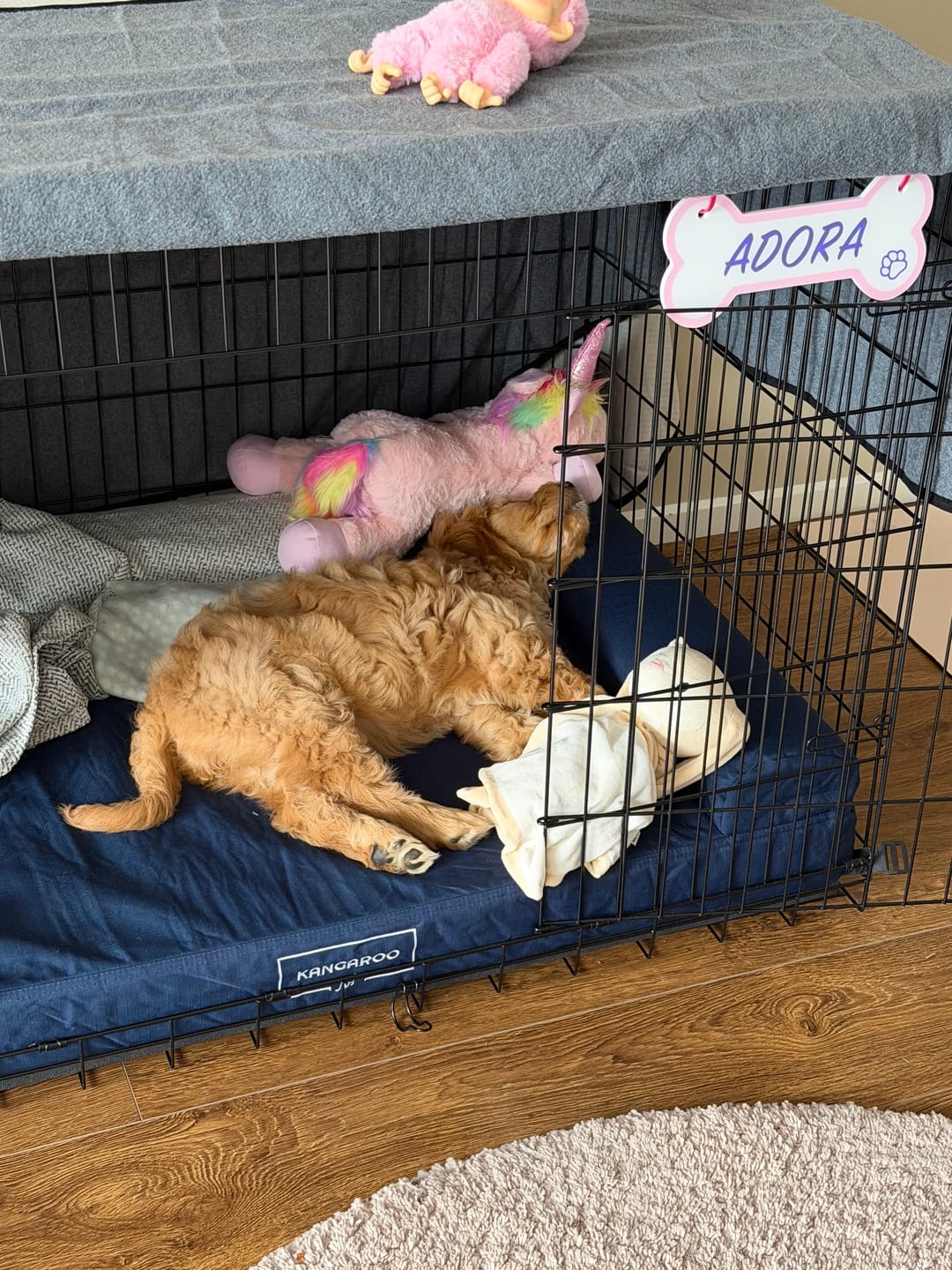 Customer photo review of Kangaroo Dog Crate Mat