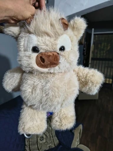Customer photo review of La peluche vache qui court quand on l’agite | Floomie®